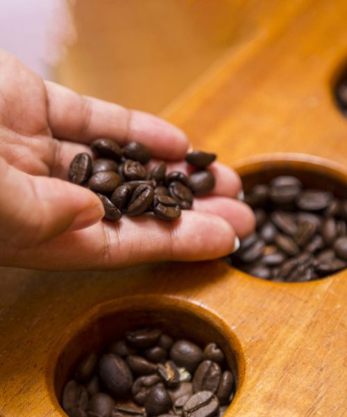 close-up-female-hand-holding-coffee-beans